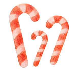 N35-189/WonderHouse/ワンダーハウス/ダイ（抜型）/christmas