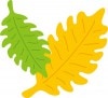 N50-049/WonderHouse/�������ϥ���/������ȴ����/leaf �դä� �꡼��