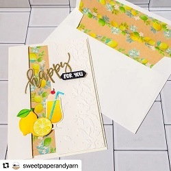 ��N42-381��/�������ϥ���/������ȴ����/ ���꡼�ॽ����������������