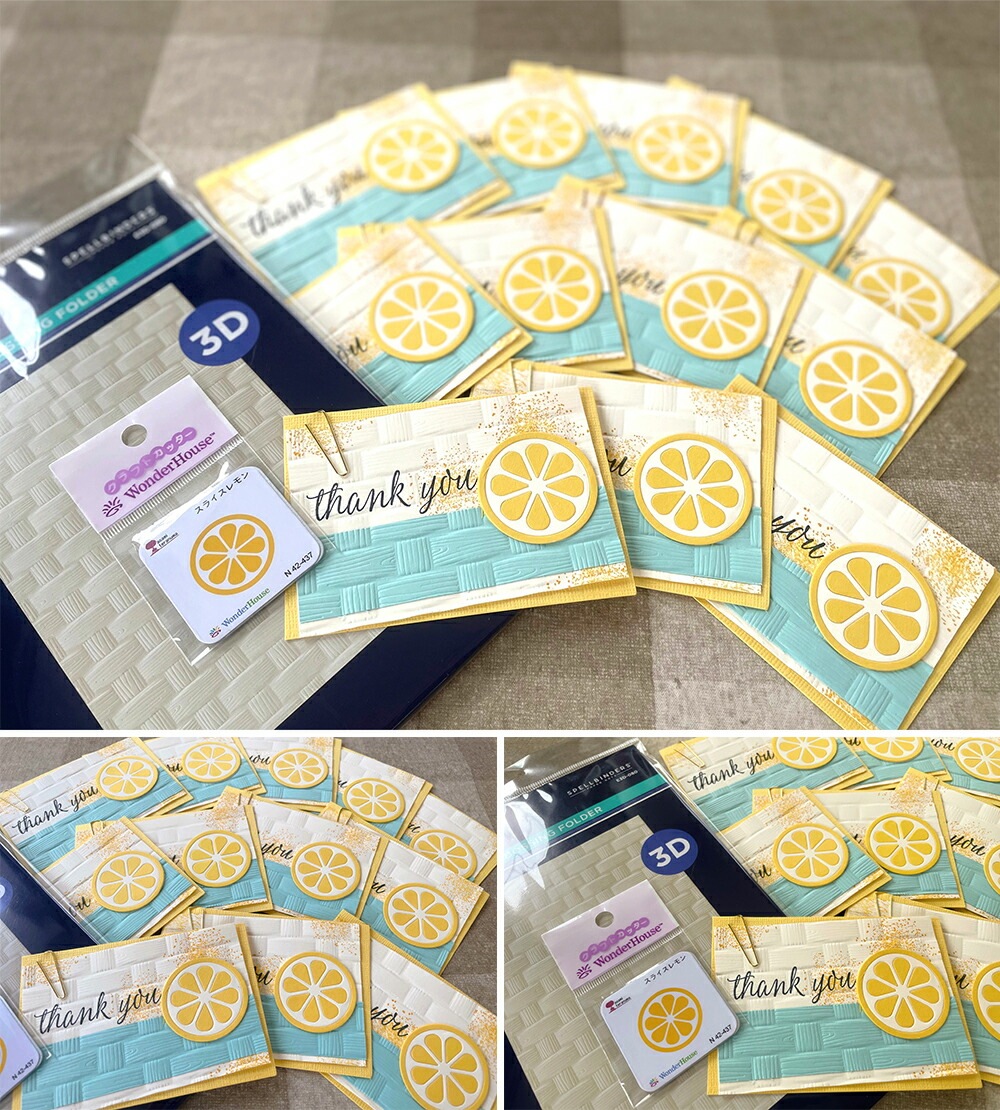 E3D-080/���ڥ�Х��������/3D����ܥ��ե����/THE SPRING SAMPLER COLLECTION (13.97 x 21.60 cm)��ʪ����ʪ�����͡�