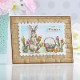 E3D-080/ڥХ/3Dܥե/THE SPRING SAMPLER COLLECTION (13.97 x 21.60 cm)ʪʪ͡