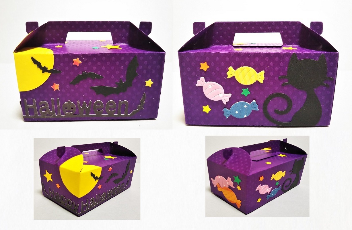 366/WonderHouse/�������ϥ���/������ȴ����/���å����ܥå��� Cookie Box