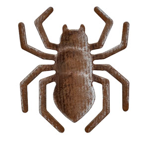 N35-119/WonderHouse/ϥ/ȴ/spider   