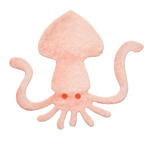 N35-136/WonderHouse/�������ϥ���/������ȴ����/squid ����