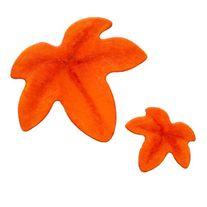 N35-164/WonderHouse/ϥ/ȴ/leaf դä ꡼