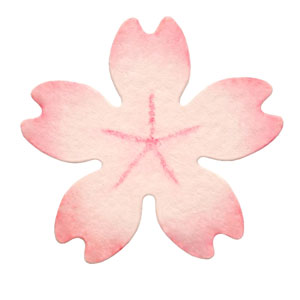 N35-168/WonderHouse/�������ϥ���/������ȴ����/cherry blossom ������ ������ ��