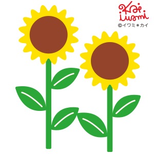 N42-156/WonderHouse/�������ϥ���/������ȴ����/sunflower �ҥޥ�� �Ҥޤ�� ����ߡ�����