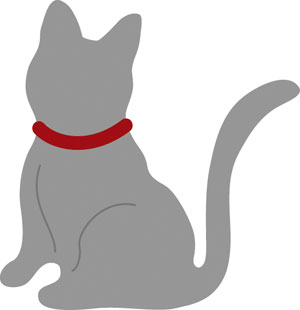 N50-009/WonderHouse/�������ϥ���/������ȴ����/cat �ͥ� �ͤ� ǭ