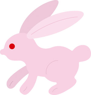 N50-011/WonderHouse/ϥ/ȴ/rabbit bunny   