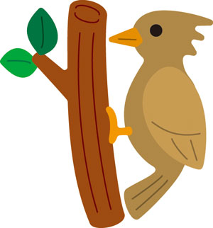 N50-021/WonderHouse/�������ϥ���/������ȴ����/woodpecker ���ĥĥ� ���ĤĤ�