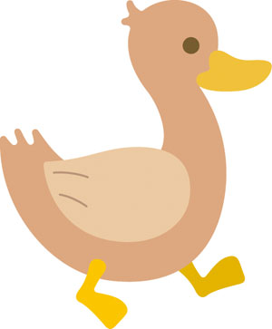 N50-023/WonderHouse/ϥ/ȴ/duck Ҥ ҥ