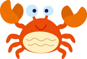N50-043/WonderHouse/�������ϥ���/������ȴ����/crab ���� ���� ��