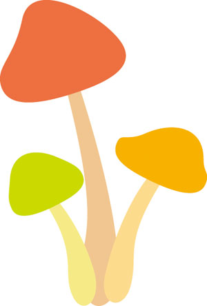 N50-048/WonderHouse/�������ϥ���/������ȴ����/mushrooms ���Υ� ���Τ�