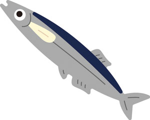 N50-109/WonderHouse/ϥ/ȴ/fish    