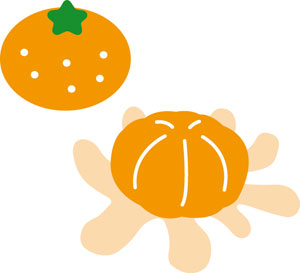 N50-120/WonderHouse/�������ϥ���/������ȴ����/orange �ߥ��� �ߤ��� ̪��