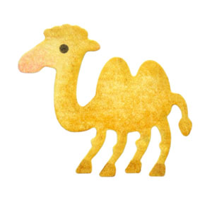 35-045/WonderHouse/�������ϥ���/���ݥ󥸥�����ȴ����/camel �饯��<br>�����ա��򤤥��ݥ���ʬ���������������Ѳ�������