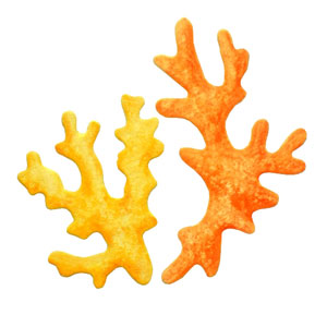 35-139/WonderHouse/�������ϥ���/���ݥ󥸥�����ȴ����/coral ����<br>�����ա��򤤥��ݥ���ʬ���������������Ѳ�������