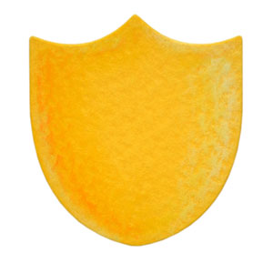 35-221/WonderHouse/ϥ/ݥ󥸥ȴ/label ٥<br>ա򤤥ݥʬѲ