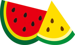 42-088/WonderHouse/�������ϥ���/���ݥ󥸥�����ȴ����/watermelon ������ ������<br>�����ա��򤤥��ݥ���ʬ���������������Ѳ�������