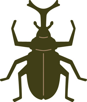 50-042/WonderHouse/ϥ/ݥ󥸥ȴ/beetle ֤Ȥष ֥ȥॷ<br>ա򤤥ݥʬѲ