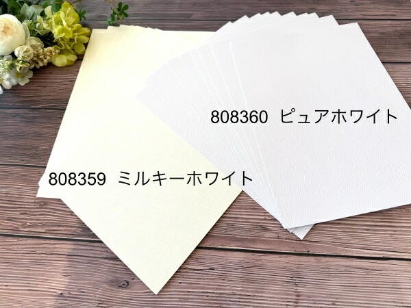 P808360   /�������ϥ������ڡ��ѡ����åȡʥԥ奢�ۥ磻�ȡ�10������A4����������29.8��21.0cm��