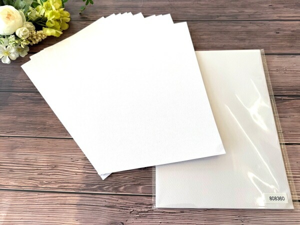 P808360   /�������ϥ������ڡ��ѡ����åȡʥԥ奢�ۥ磻�ȡ�10������A4����������29.8��21.0cm��