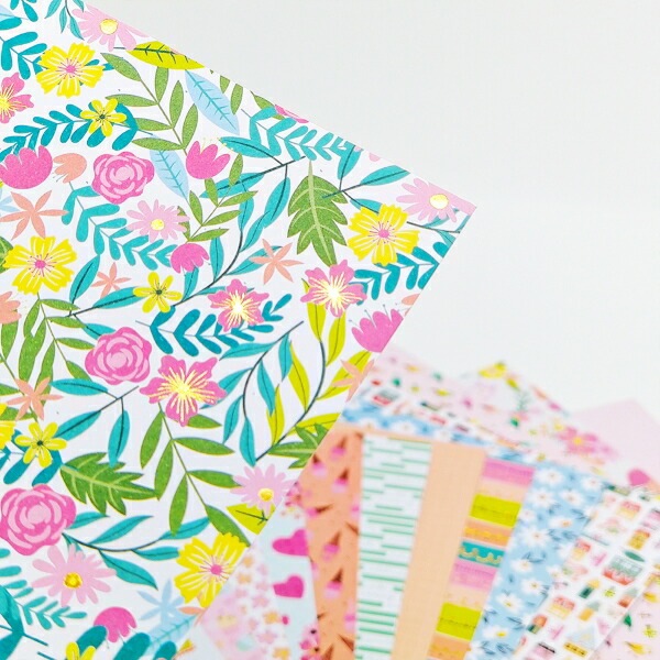 ѥڡѡ/P803488/sweetie ڡѡå  20ꡡ88(20.4)/ϥ