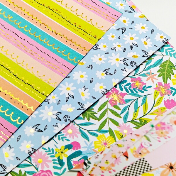 ѥڡѡ/P803488/sweetie ڡѡå  20ꡡ88(20.4)/ϥ