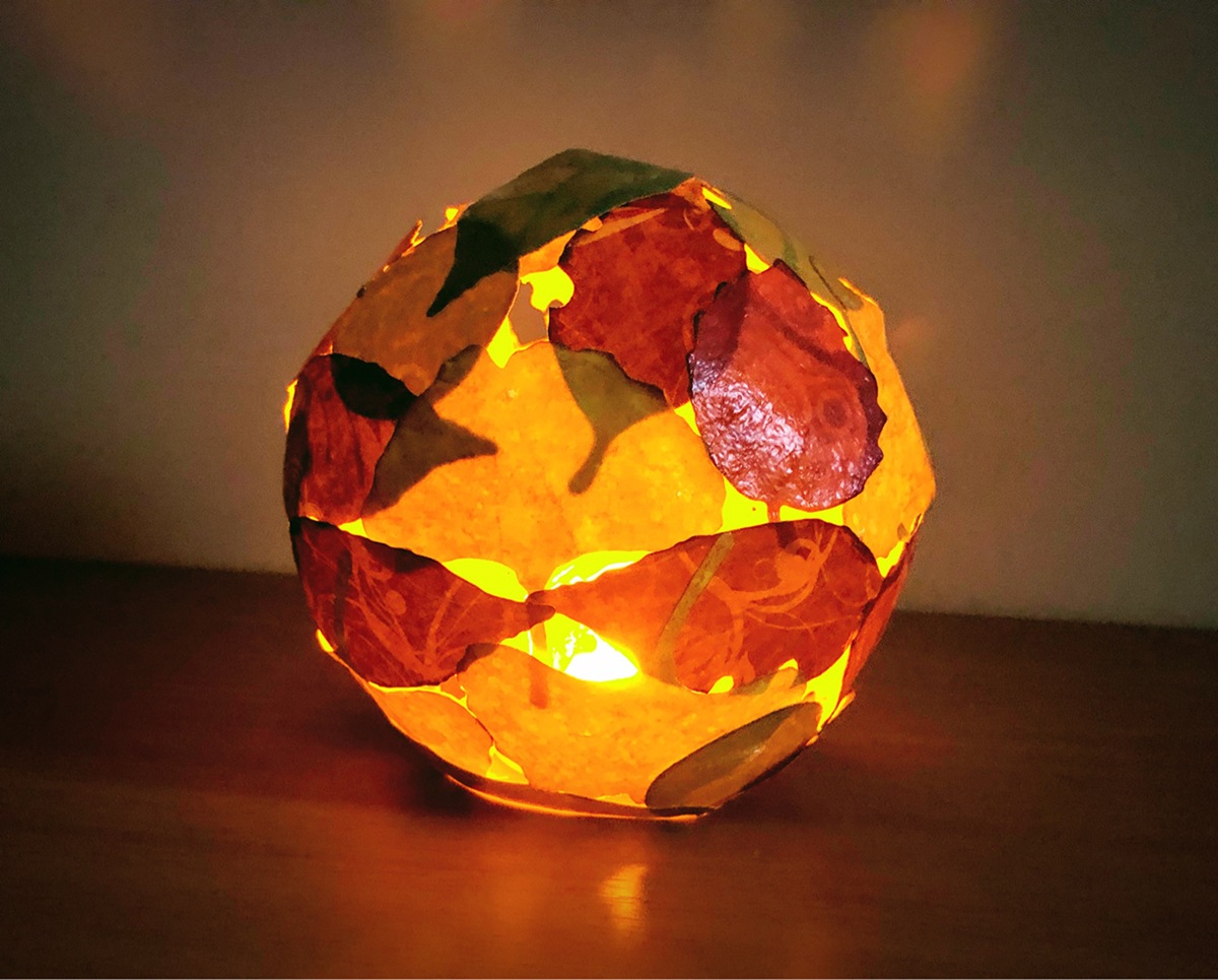 059/WonderHouse/�������ϥ���/������ȴ����/�դä� �������� ������� 4����