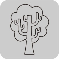 N42-044/WonderHouse/�������ϥ���/������ȴ����/tree ��