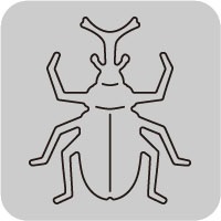N42-200/WonderHouse/�������ϥ���/������ȴ����/beetle ���֥ȥॷ
