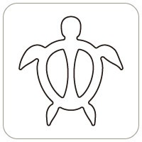N57-085/WonderHouse/ϥ/ȴ/sea turtle   ۥ
