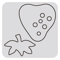 N57-030/WonderHouse/�������ϥ���/������ȴ����/strawberry ������