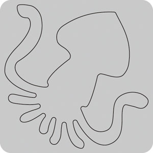 N35-136/WonderHouse/�������ϥ���/������ȴ����/squid ����