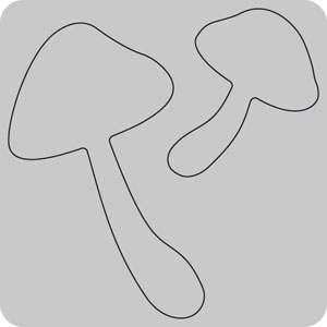 N35-150/WonderHouse/ϥ/ȴ/mushrooms Υ Τ ƻ