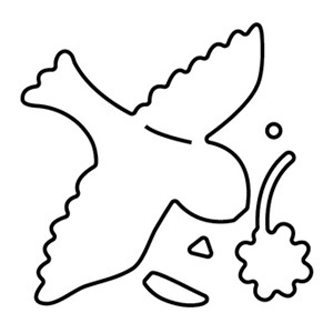 N42-148/WonderHouse/�������ϥ���/������ȴ����/bird �Ȥ� Ļ ����ߡ�����