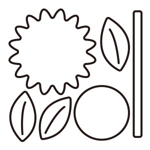 N42-156/WonderHouse/�������ϥ���/������ȴ����/sunflower �ҥޥ�� �Ҥޤ�� ����ߡ�����