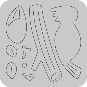 N50-021/WonderHouse/�������ϥ���/������ȴ����/woodpecker ���ĥĥ� ���ĤĤ�