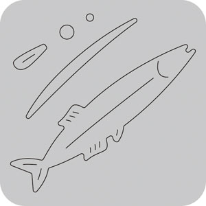 N50-109/WonderHouse/ϥ/ȴ/fish    