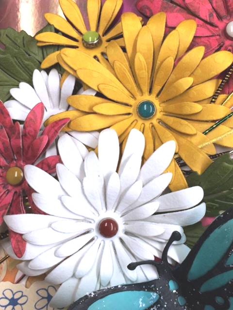 135/WonderHouse/�������ϥ���/������ȴ����/��  �Ϥʡ� �ơ�5�祻�å�