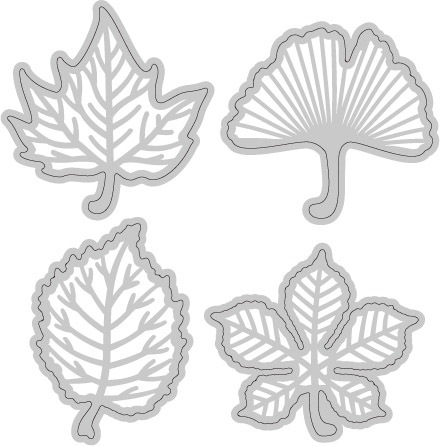 W04-014/WonderHouse/�������ϥ���/������ȴ����/ �դä� �����祦��������  4�祻�å�