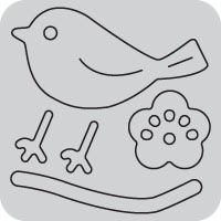 42-J0012/WonderHouse/�������ϥ���/���ݥ󥸥�����ȴ����/�������� �������� �� ��<br>�����ա��򤤥��ݥ���ʬ���������������Ѳ�������