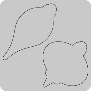 35-186/WonderHouse/�������ϥ���/���ݥ󥸥�����ȴ����/christmas ornament ���ꥹ�ޥ� �����ʥ���<br>�����ա��򤤥��ݥ���ʬ���������������Ѳ�������