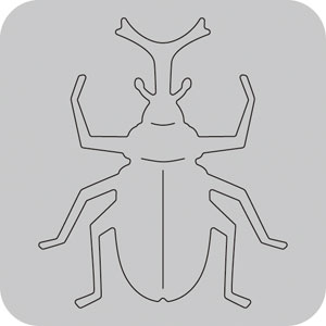 50-042/WonderHouse/ϥ/ݥ󥸥ȴ/beetle ֤Ȥष ֥ȥॷ<br>ա򤤥ݥʬѲ