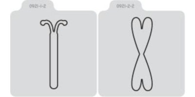 Q2037-KS0921/QuicKutz/åå/ȴ/22 Double Die/dragonfly ȥ<br>ա򤤥ݥʬѲ