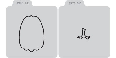 Q2054-KS0975/QuicKutz/�����å����å�/������ȴ����/2��2 Double Die/pumpkin ���ܥ���<br>�����ա��򤤥��ݥ���ʬ���������������Ѳ�������