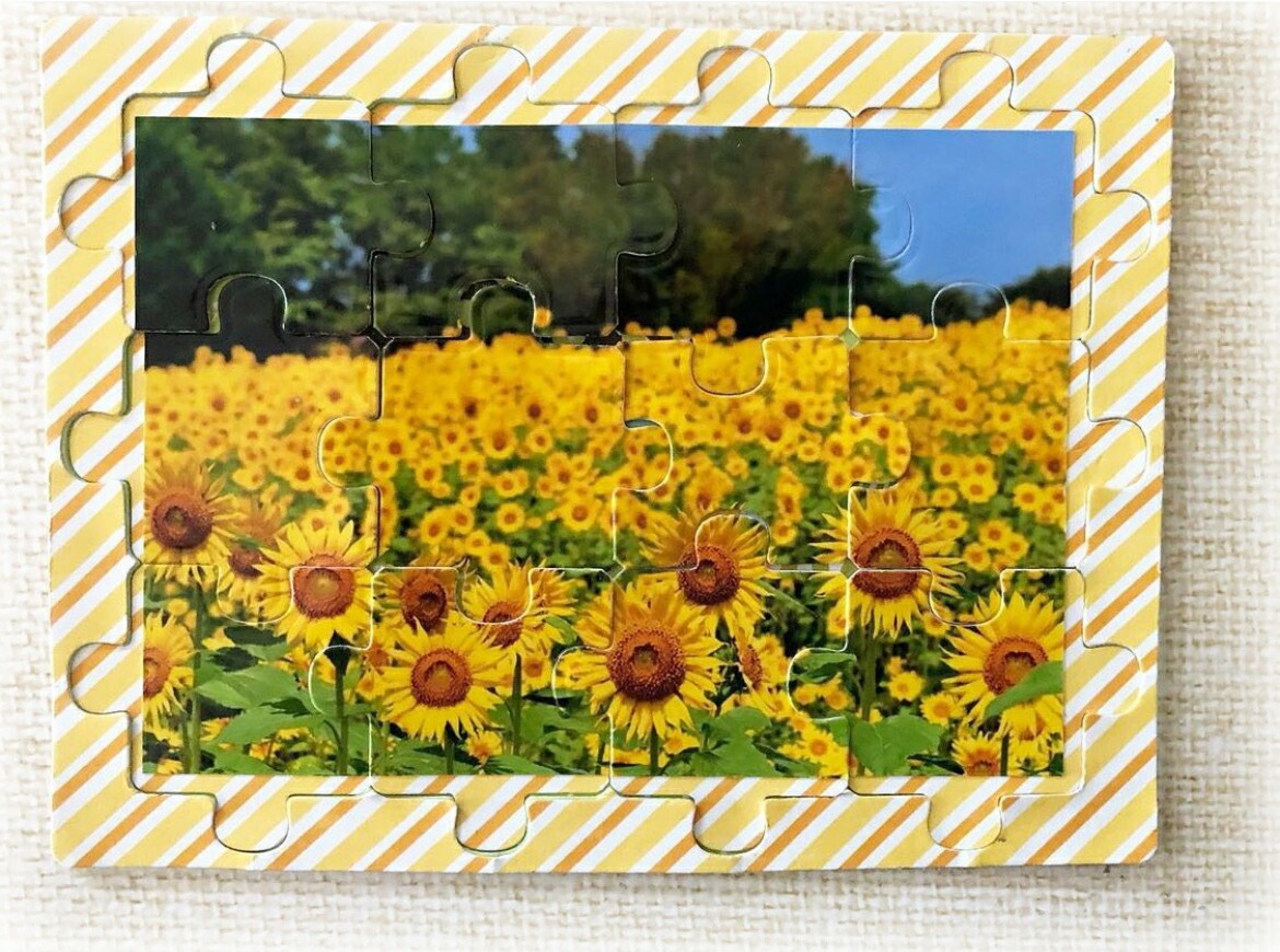 ����  /��503  / �ѥ��� /�������ϥ���