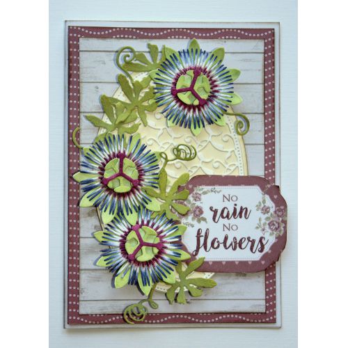 ��6002-1242��/Joy! Crafts/���祤������ե�/������ȴ��)/Passiflora �ѥ��ե�����