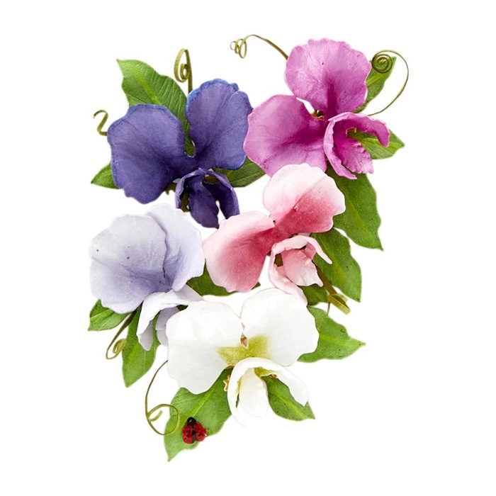 ��S2-311��/Spellbinders/���ڥ�Х��������/������ȴ����/�������ȥԡ�����