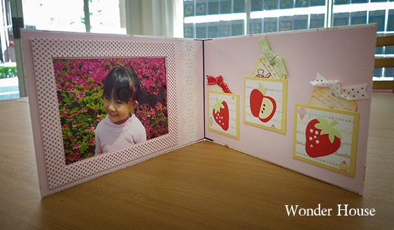 N57-030/WonderHouse/�������ϥ���/������ȴ����/strawberry ������